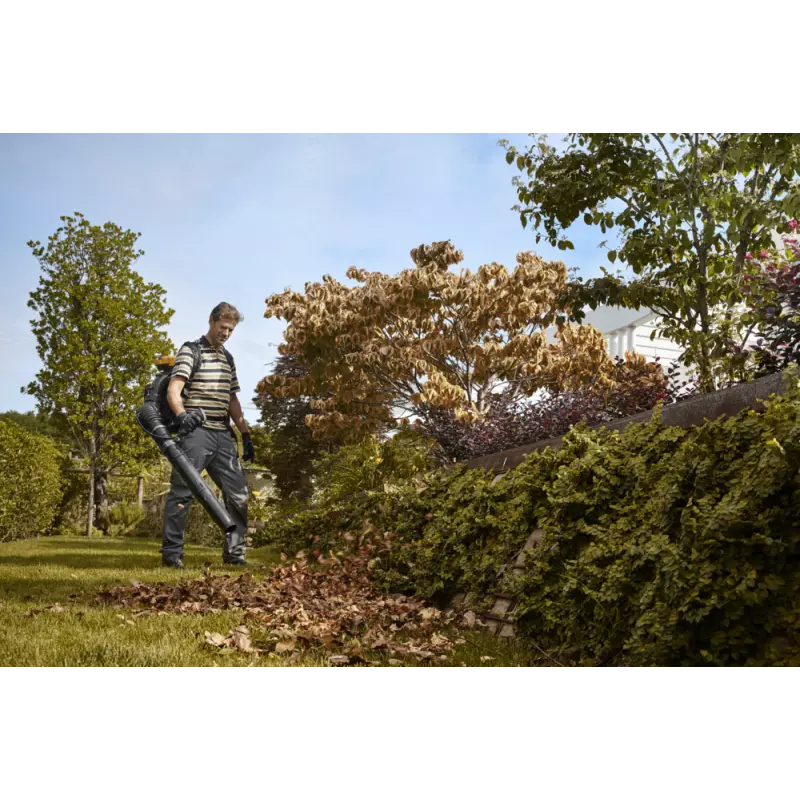 BL980R_255175102ST1_amb05_web